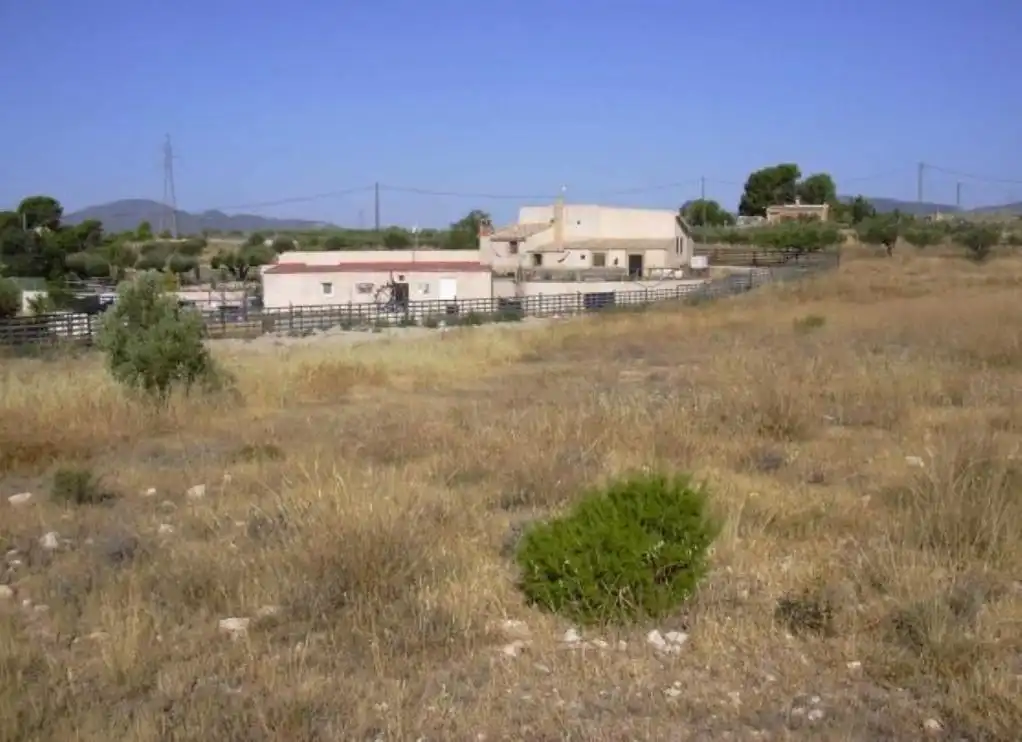 Terreno rústico en venta en PINOSES, imagen 5