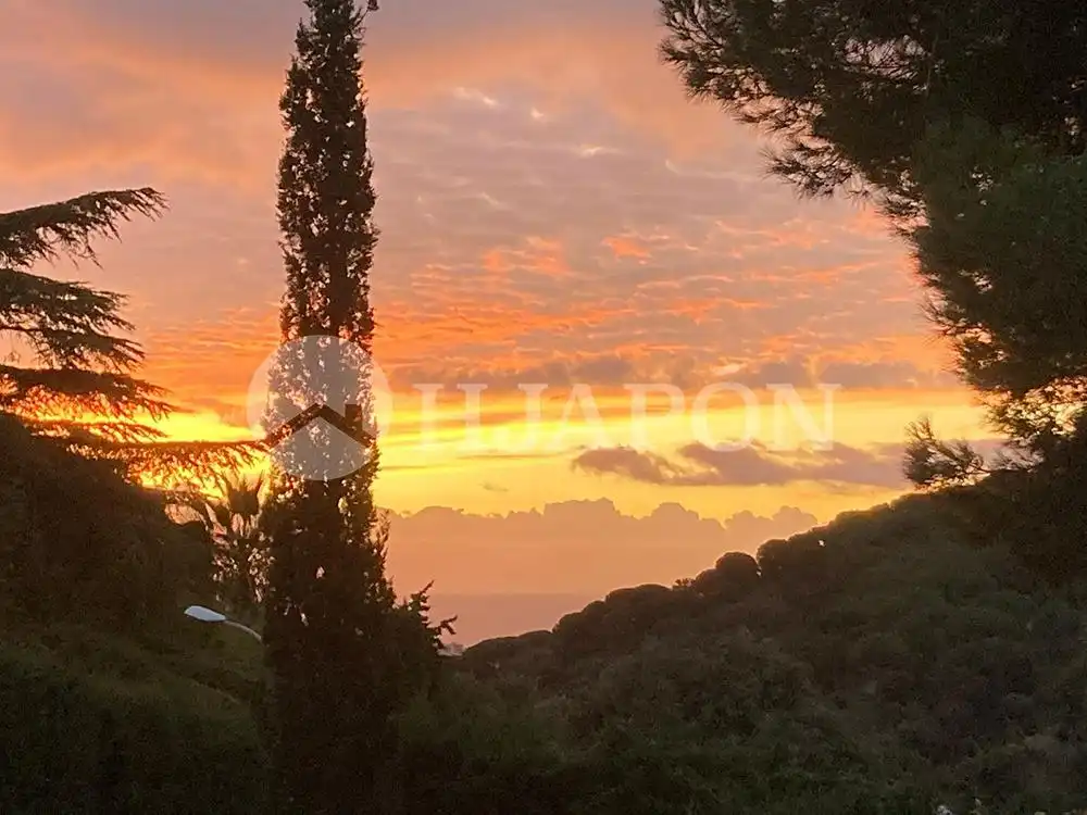 Garden of Houses for sale in Alella, Barcelona