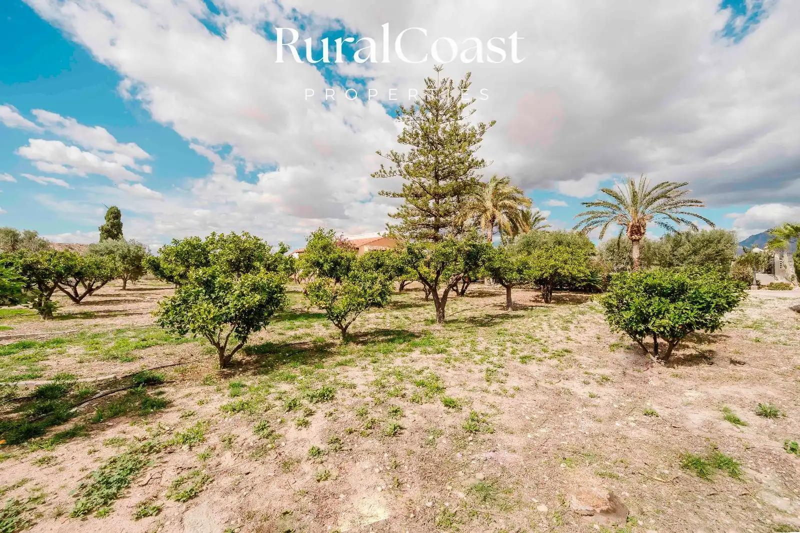 Casa o chalet en venta en JOAN VALLS, Valle del Sol