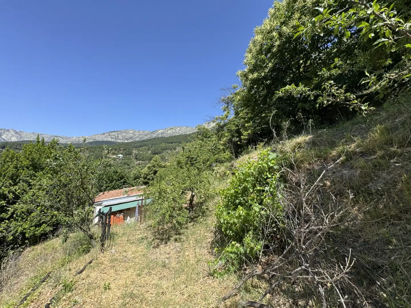 Finca rústica en venta en El Arenal  con Jardín privado