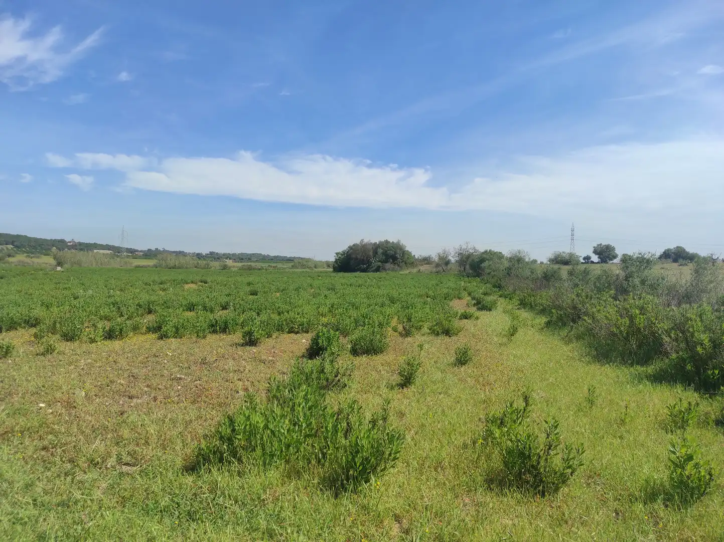 Terreno residencial en venta en Sineu, imagen 24
