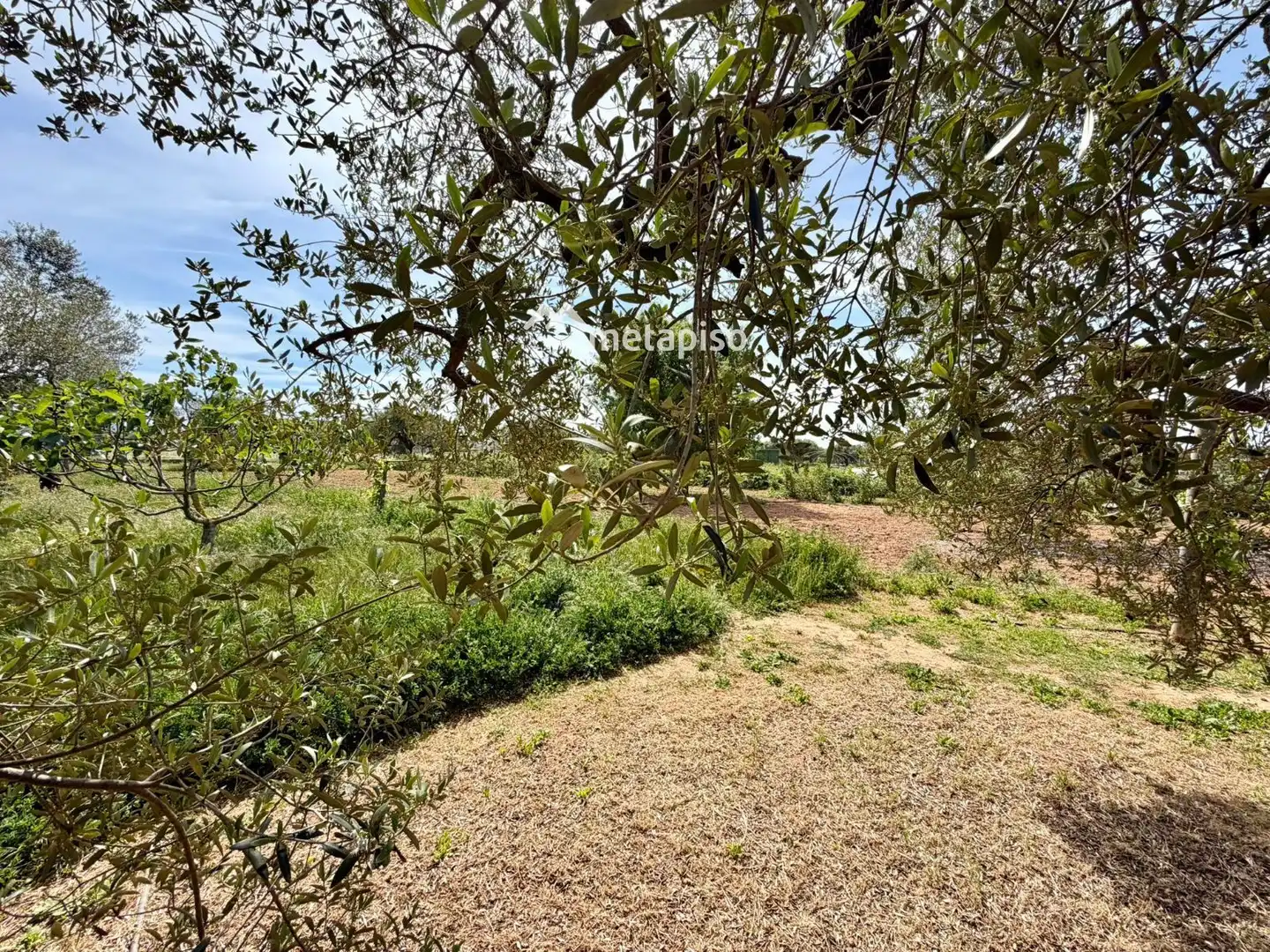 Terreno rustico in vendita a Santa Oliva, imagen 50