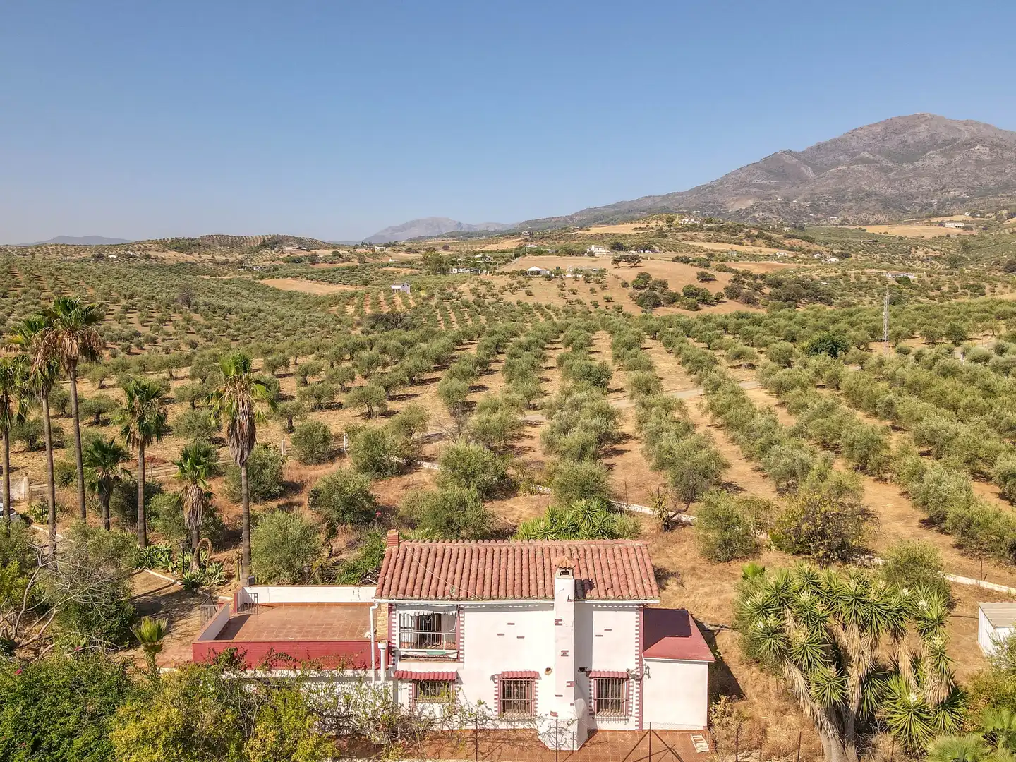 Vista exterior de Casa o xalet en venda en Casarabonela amb Jardí privat