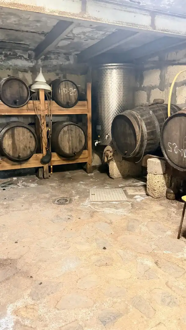 Finca rústica en venta en Arona pueblo