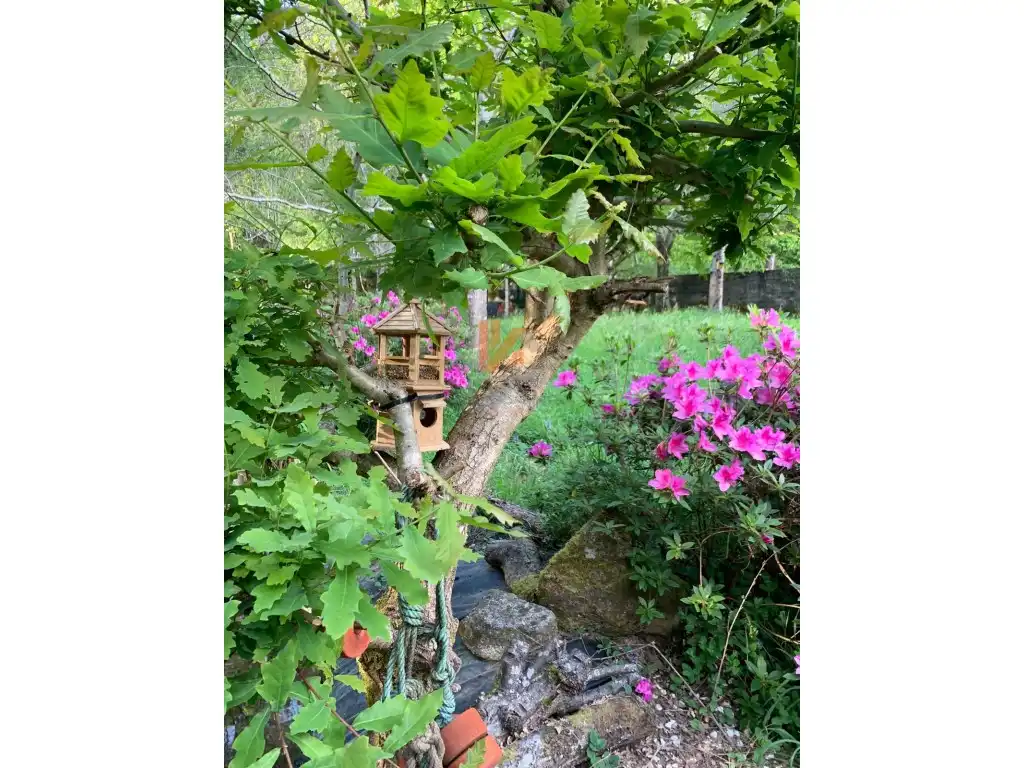 Jardí de Casa o xalet en venda en Ames