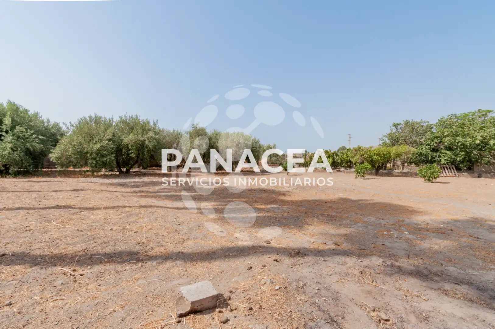 Casa o xalet en venda en Pechina amb Jardí privat, Piscina i Moblat