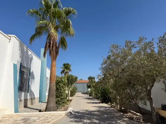 Vista exterior de Casa o chalet en venta en Almería con Aire acondicionado, Jardín privado y Terraza