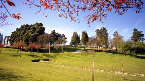 Foto 4 de Dúplex en venta en Rúa de Amor Ruibal, Castiñeiriño - Cruceiro de Sar, A Coruña