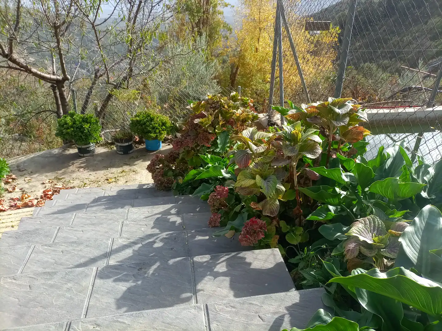 Terreny rústic en venda a Alpujarra de la Sierra, imagen 7
