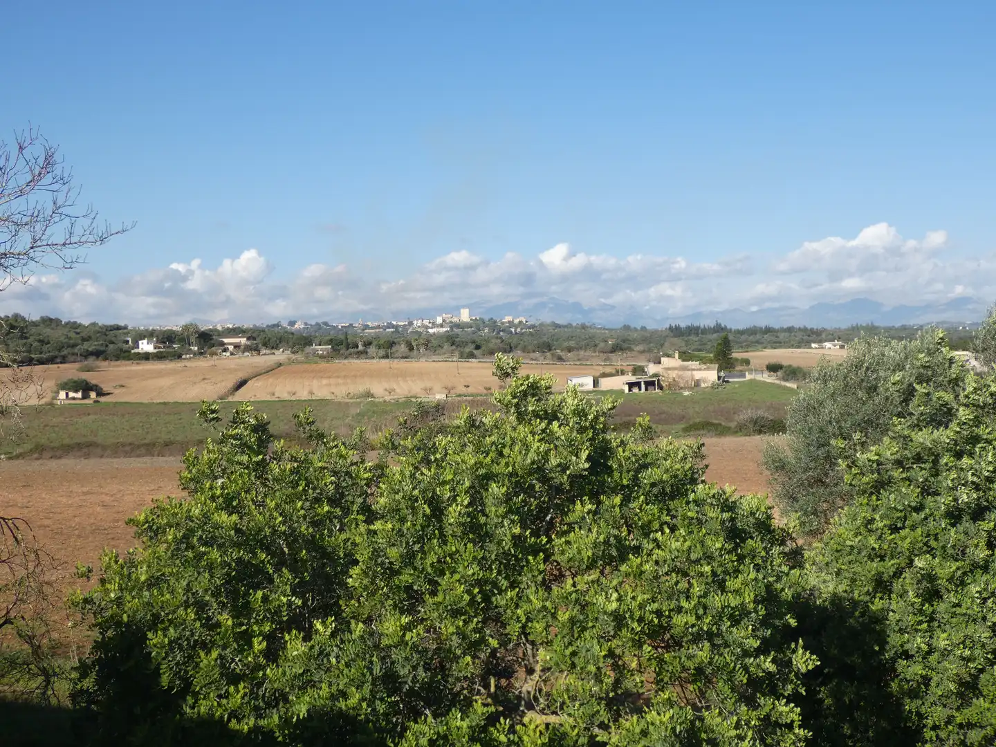 Terreny rústic en venda a Ariany, imagen 16