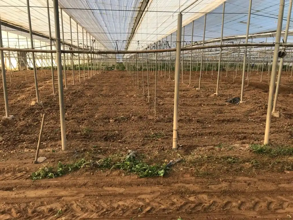 Terreny rústic en venda a Uleila del Campo, imagen 12