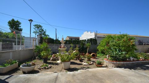 Photo 2 of Houses for sale in Deltebre, Tarragona