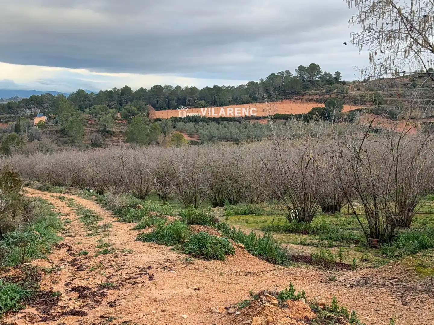 Terrain rustique à vendre à Vallmoll, imagen 12