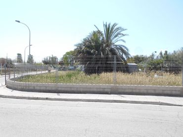 Terreni e lotti in vendita a Oliva pueblo