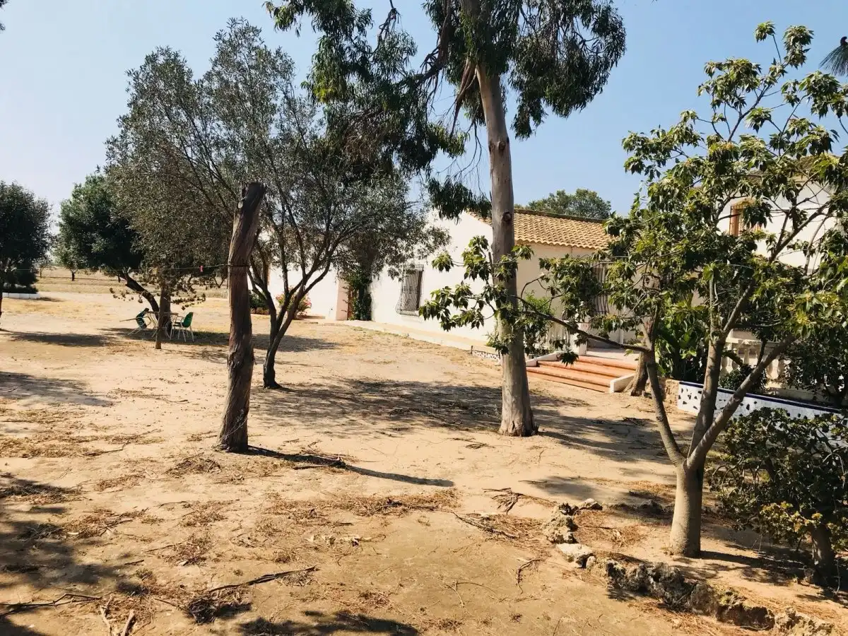 Villa mit Terrasse zum Verkauf in Pedanías Oeste, imagen 42