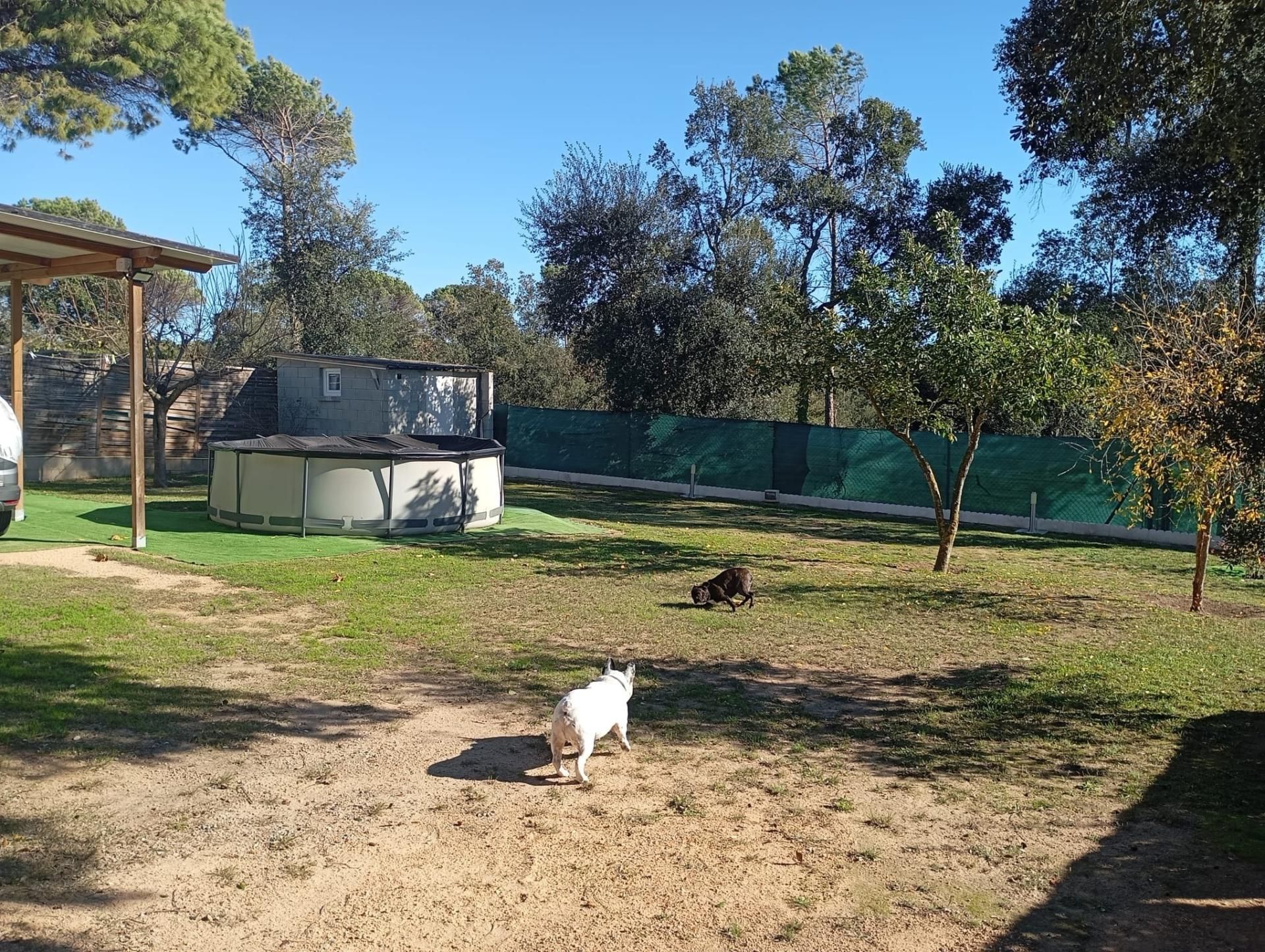 Jardí de Casa o xalet en venda en Vidreres amb Aire condicionat, Calefacció i Terrassa