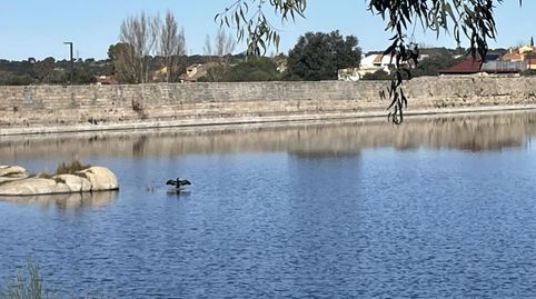 Finca Rúst. en venta en Lago Proserpina, 3 dormitorios.