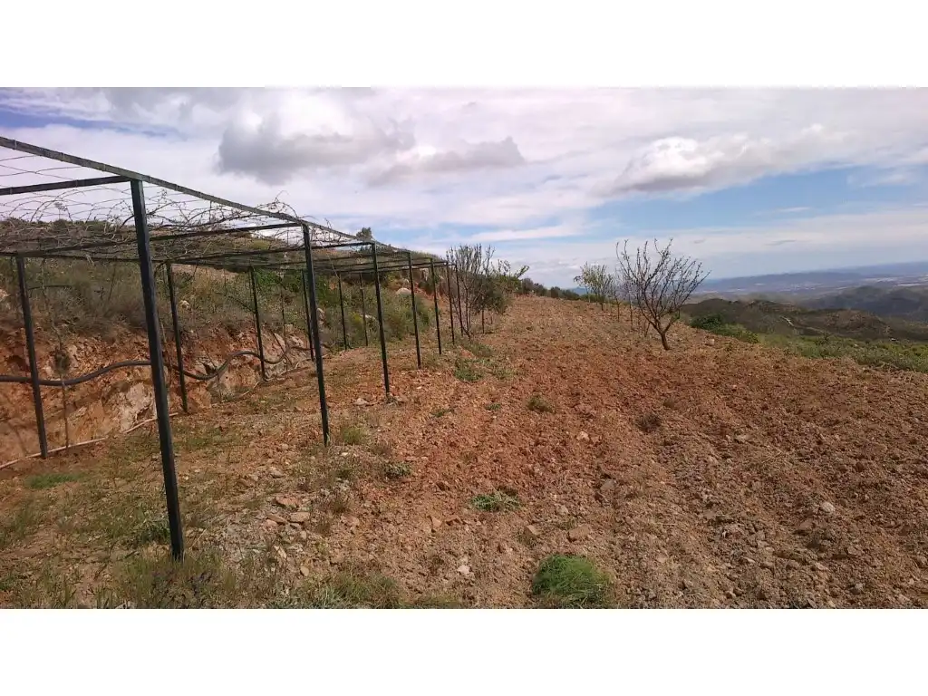 Casa o xalet en venda a del Hinojo a los Jerales, Lubrín