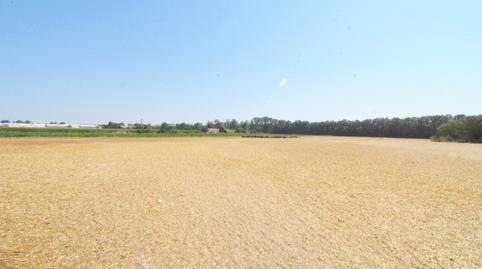 Foto 3 de Terreno en venta en Doñinos de Salamanca, Salamanca