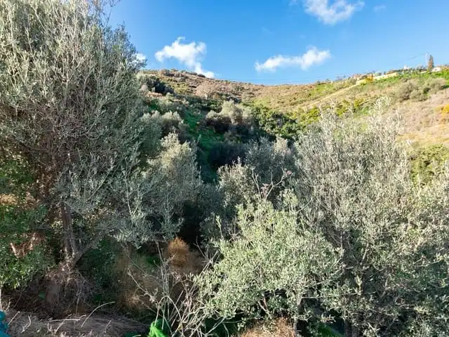 Terreni e lotti in vendita a Torrox Pueblo, imagen 2