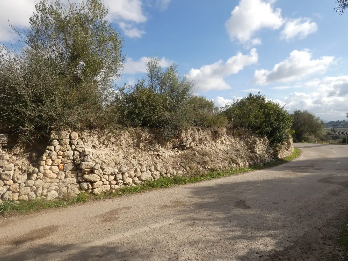 Terrain rustique à vendre à Muro, imagen 4