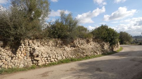 Finca rústica en Muro., immagine 4