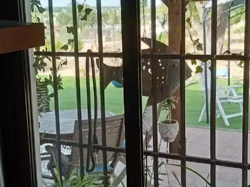 Jardí de Finca rústica en venda en Lepe