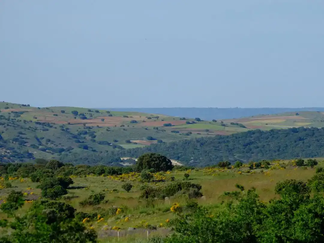Piso de alquiler en Marlín con Jardín privado y Amueblado