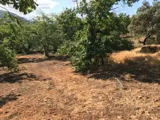 Terreni e lotti in vendita a Cortegana, imagen 10