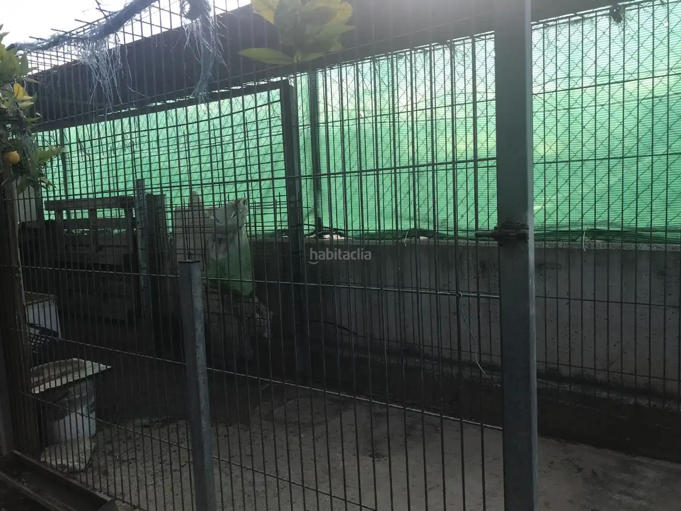 Terreno residencial en venta en Partida Collet 23, imagen 10