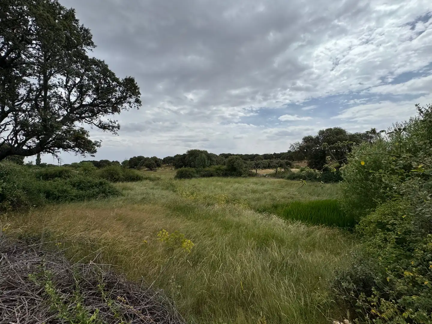 Terreno en venta en Añover de Tormes
