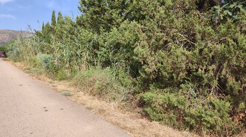 Photo 2 of Land for sale in N/a, Sa Pobla, Illes Balears