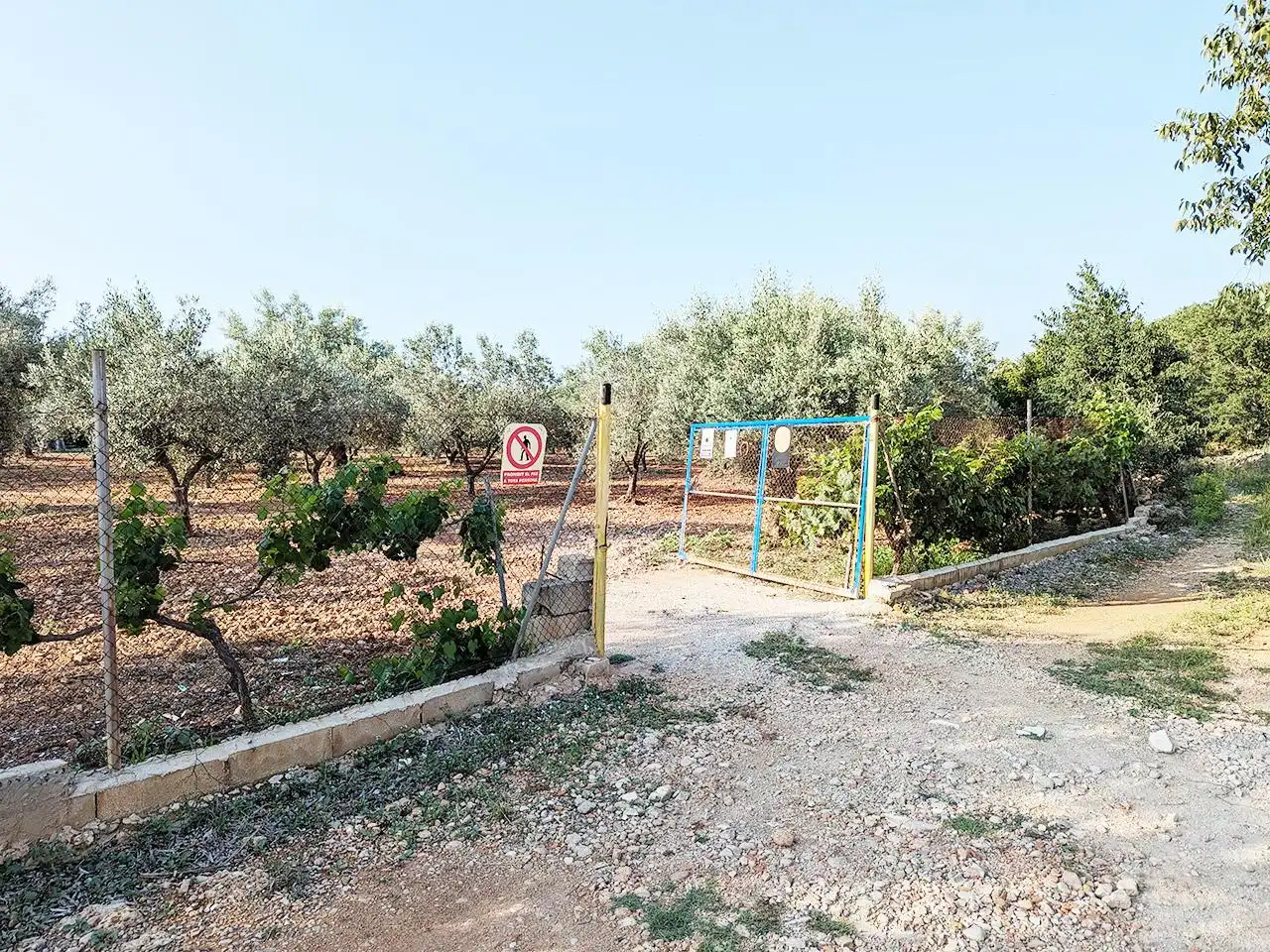 Country house with pool for sale in Mas de la Rata, imagen 2