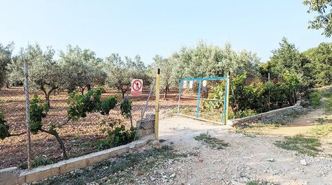 Foto 2 de Finca rústica en venda a Carrer Mas de la Rata, Ulldecona, Tarragona