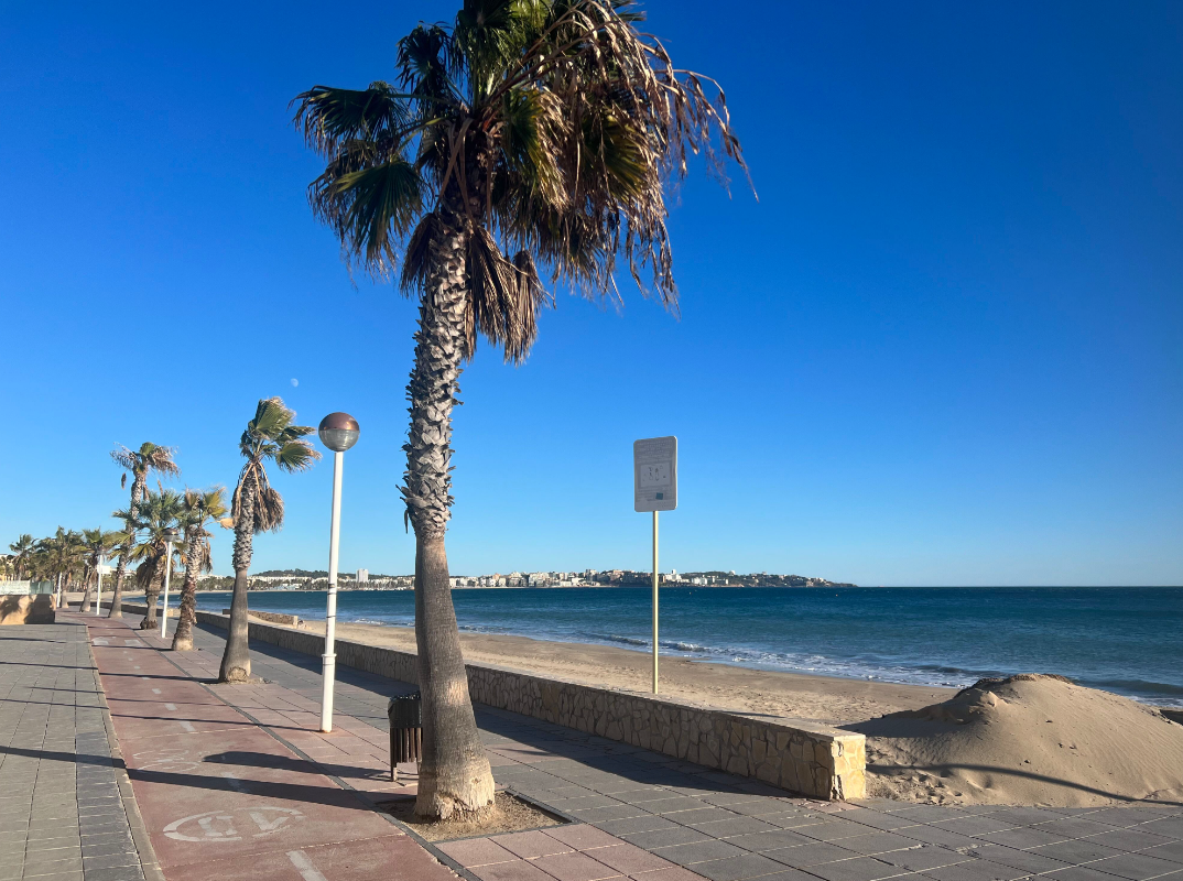 Vista exterior de Casa o xalet en venda en Cambrils amb Jardí privat