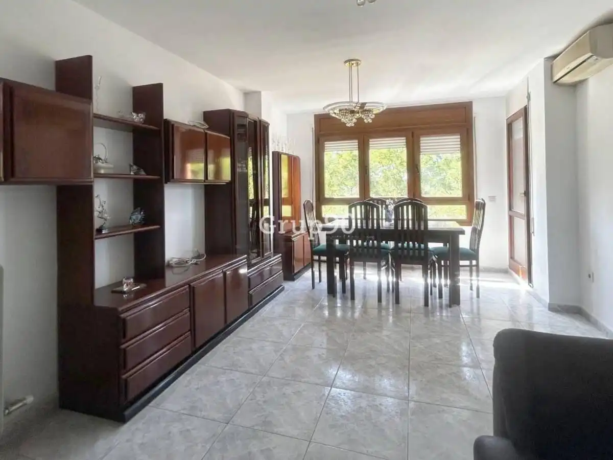 Sala de estar de Piso en venta en Lleida con Aire acondicionado, Calefacción y Trastero