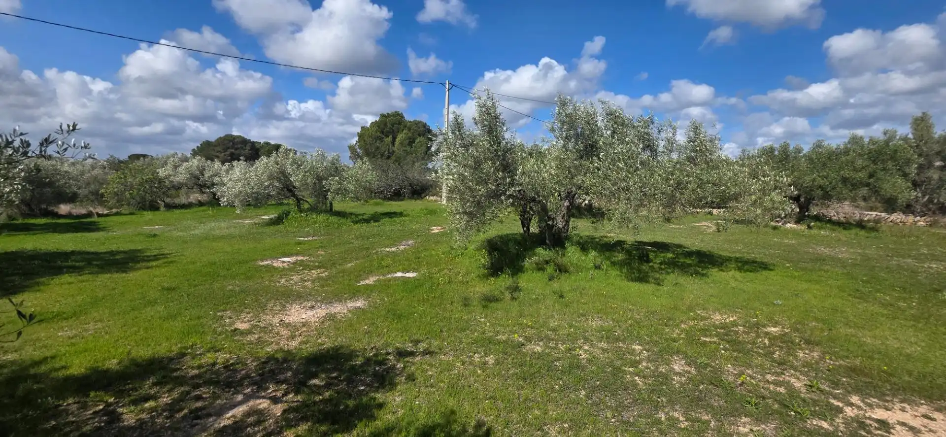 Maison rustique à vendre à L'Ametlla de Mar pueblo, imagen 16