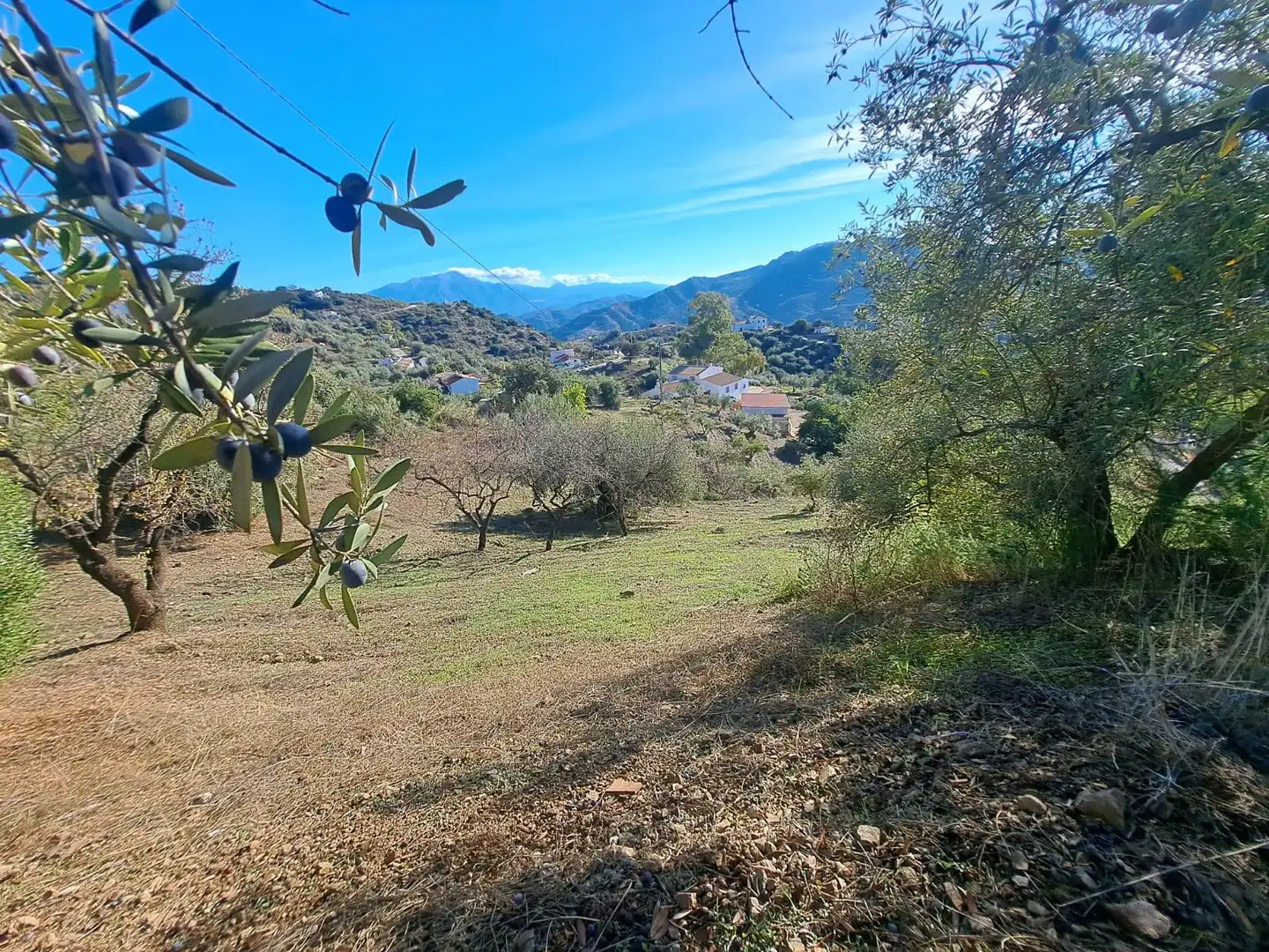 Casa o chalet en venta en Colmenar con Jardín privado