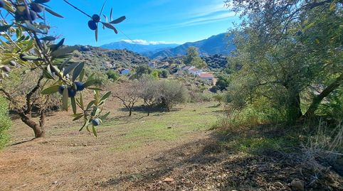 Foto 2 de Casa o chalet en venta en Calle Camino de Solano, Colmenar, Málaga