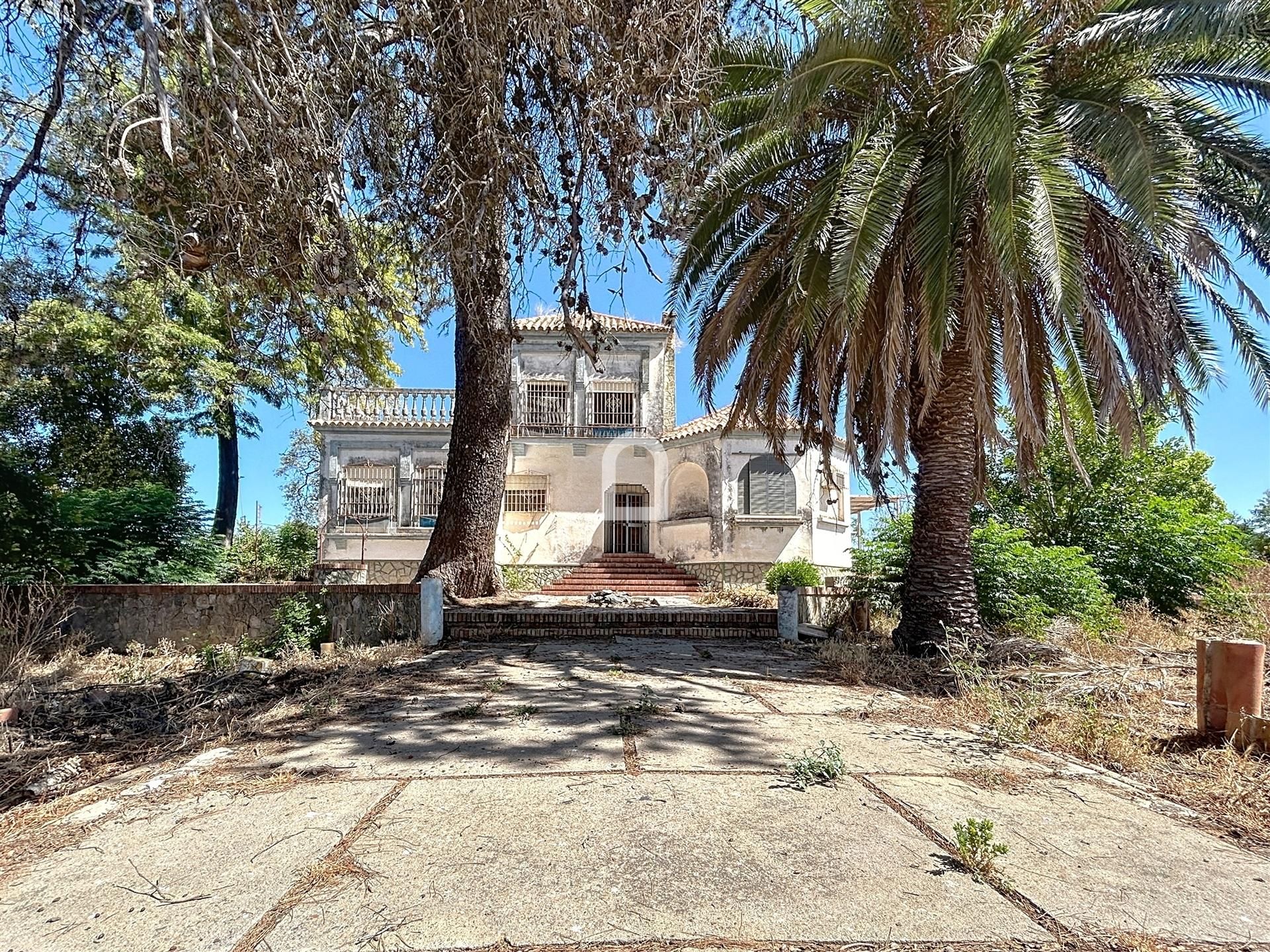 Vista exterior de Finca rústica en venta en Villanueva del Ariscal con Piscina