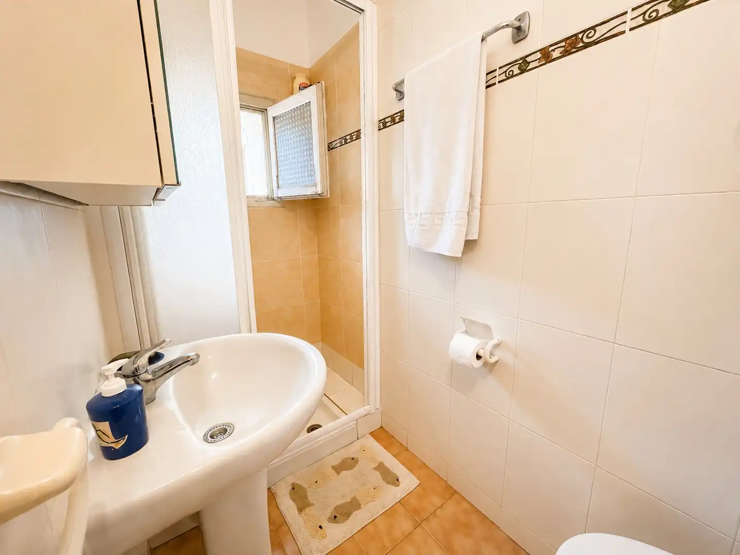 Bathroom of Houses for sale in L'Escala  with Terrace, Furnished and Oven