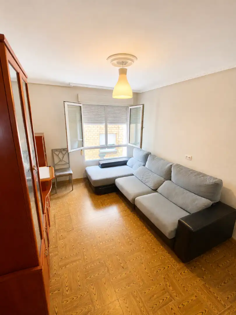 Sala d'estar de Pis de lloguer en Gijón  amb Parquet, Moblat i Forn
