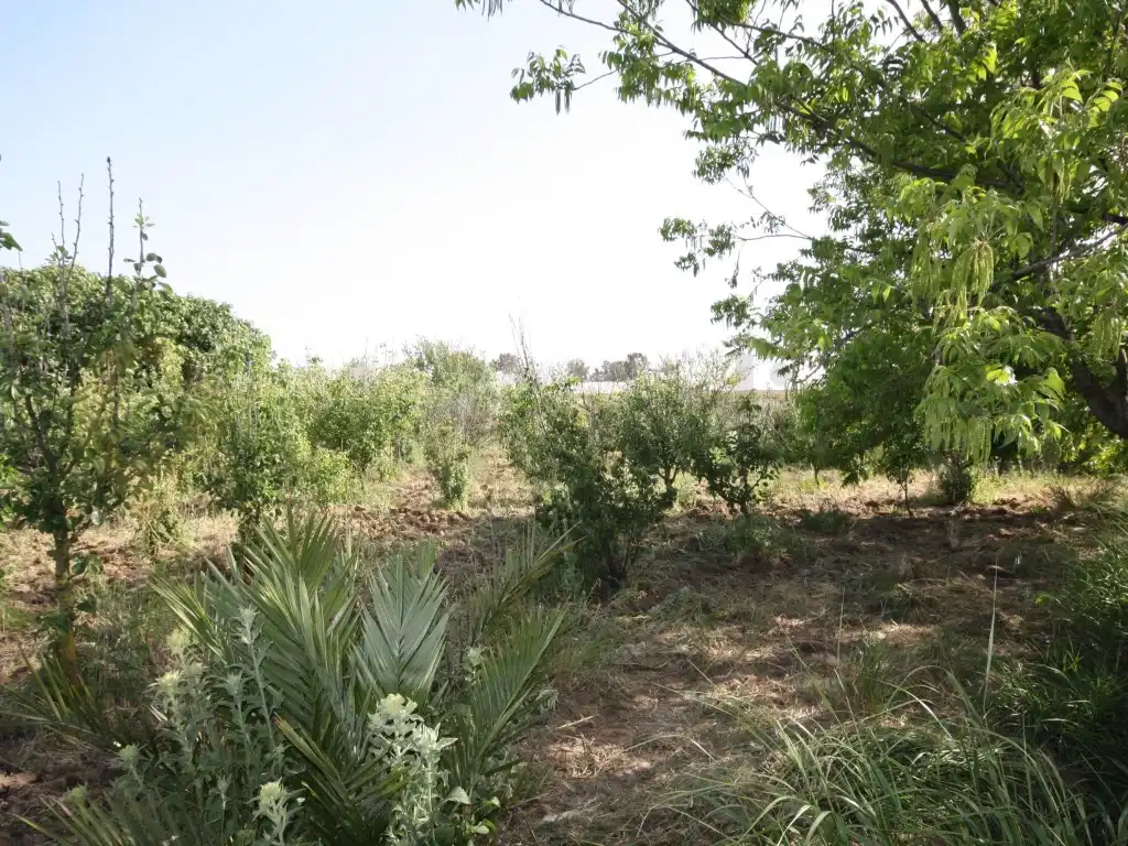 Casa o chalet en venta en Chipiona