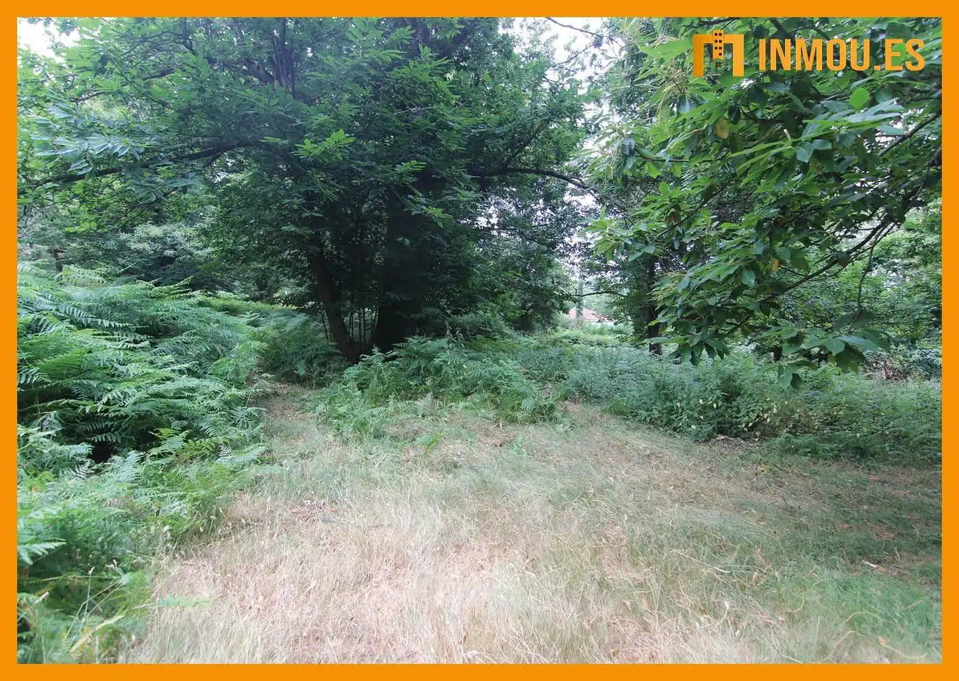 Finca rústica en venta en A Bola 