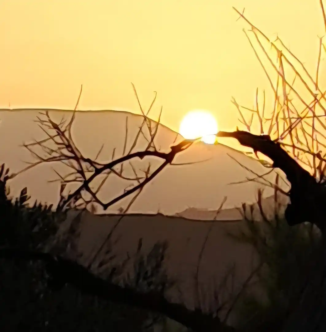 Außenansicht von Grundstücke zum Verkauf in Almuñécar