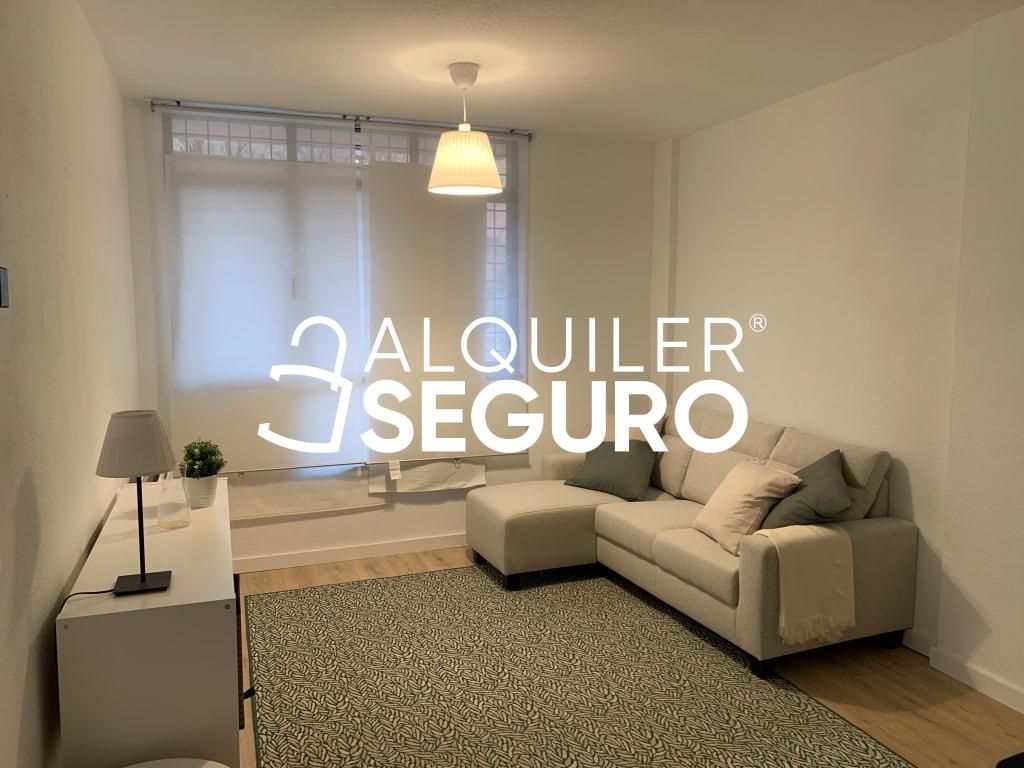 Living room of Flat to rent in  Madrid Capital  with Heating and Furnished