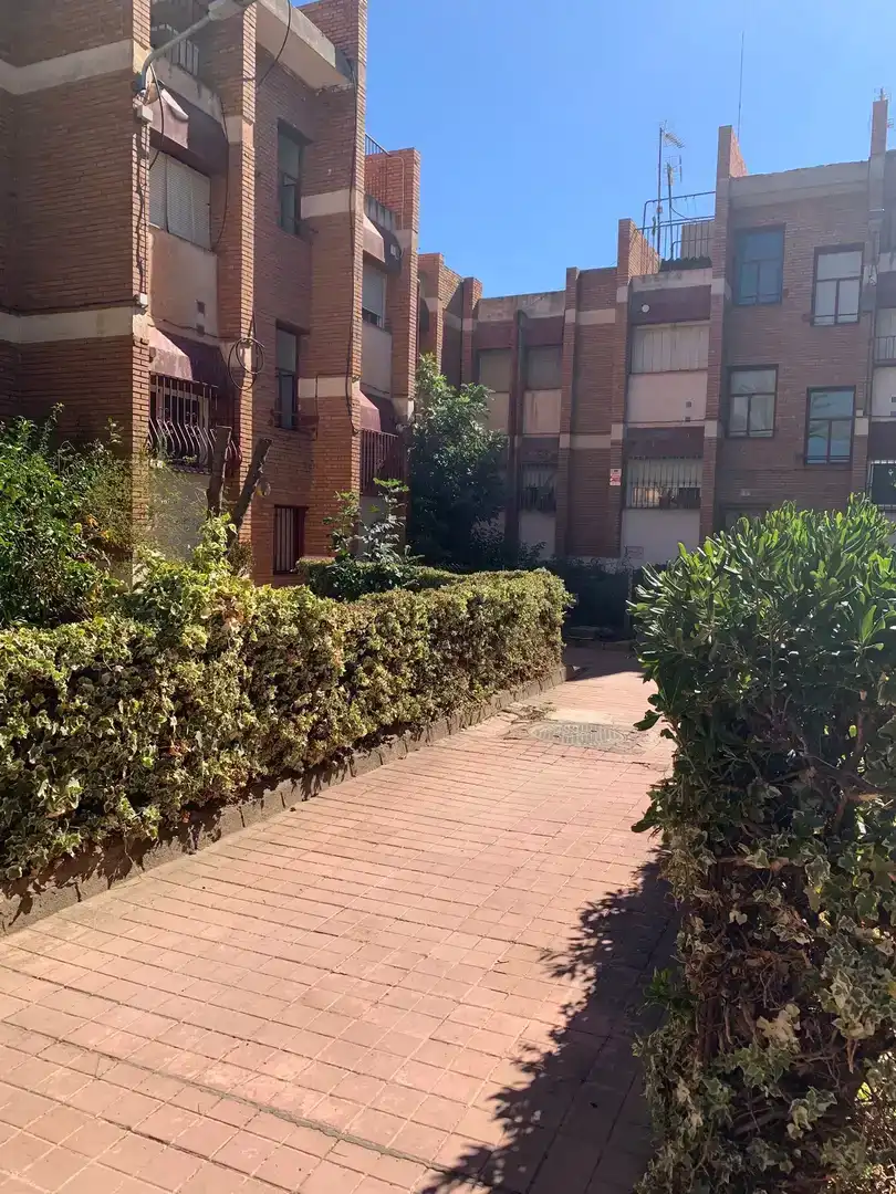 Vista exterior de Pis en venda en Fiñana amb Jardí privat, Traster i Balcó