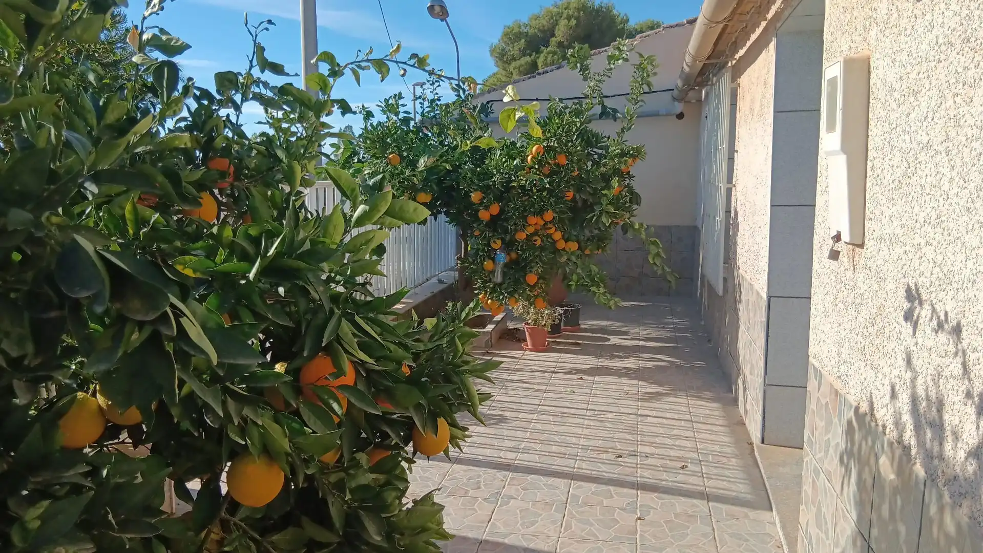 Garden of Houses for sale in Murcia  with Air Conditioner, Private garden and Terrace