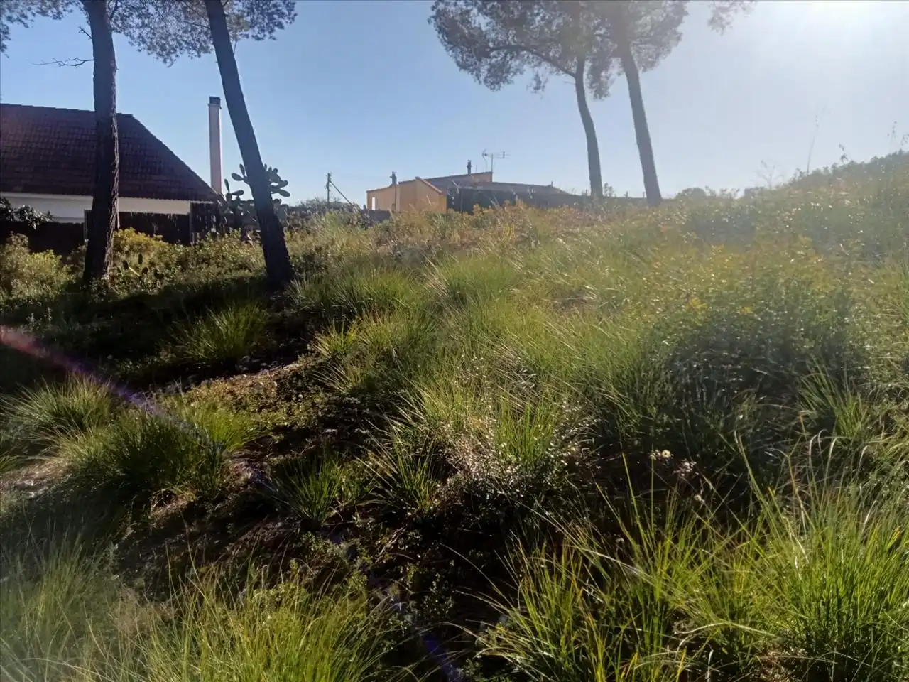 Residential land for sale in Olivella