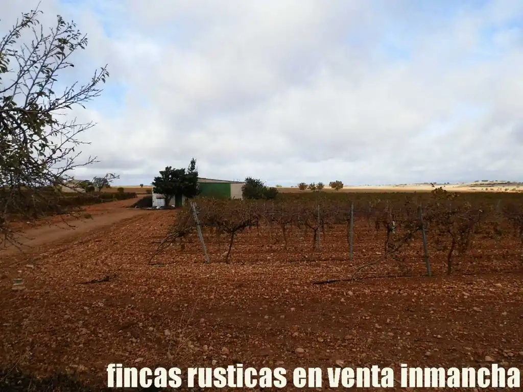 Terreno rústico en venta en Calle Socuéllamos 129, imagen 5